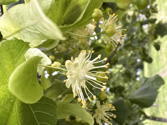 Similar image 22641571