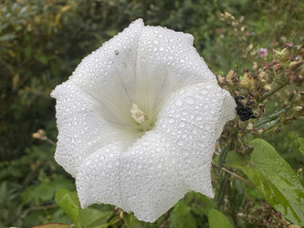 Similar image 22641581