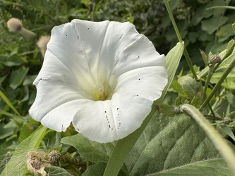 Similar image 22641582