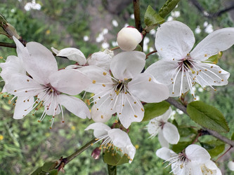 Similar image 22641588