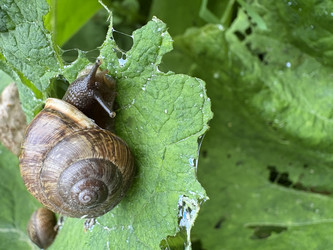 Similar image 22641637