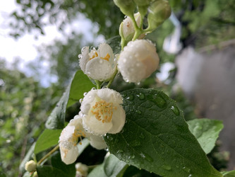 Similar image 22641638