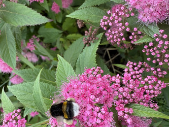 Similar image 22641641