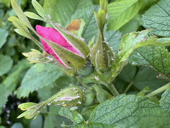 Similar image 22641642