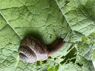 Similar image 22641643