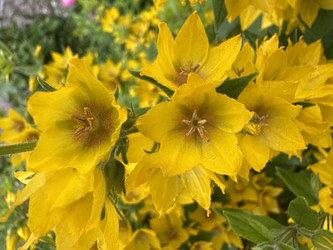 Similar image 22641645