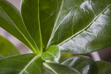 Similar image 22641196