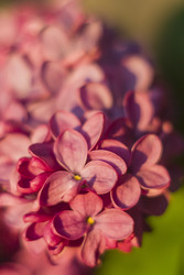 Similar image 22641214