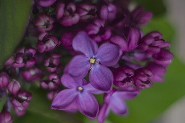 Similar image 22641215