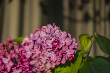 Similar image 22641224