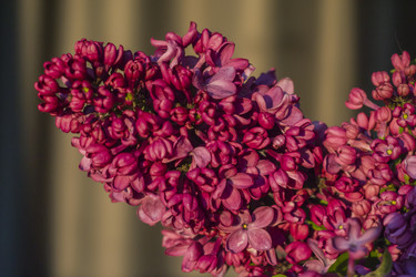 Similar image 22641227