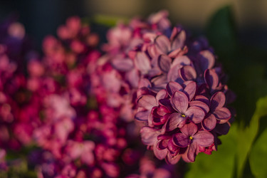 Similar image 22641229