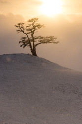 Similar image 22641657