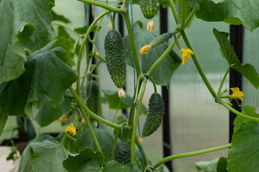 Similar image 22641184