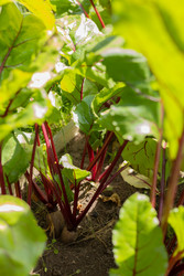 Similar image 22641665