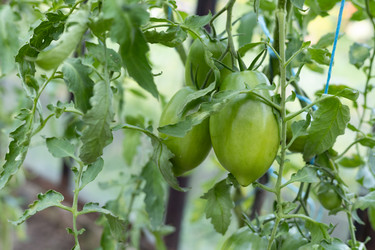 Similar image 22641667