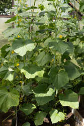 Similar image 22641185