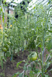 Similar image 22641668