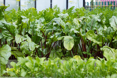 Similar image 22641669