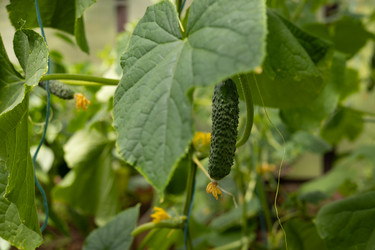 Similar image 22641670