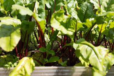 Similar image 22641672