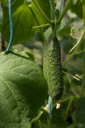 Similar image 22641673