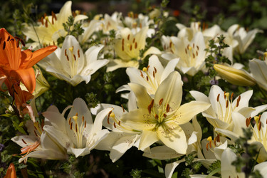 Similar image 22641674