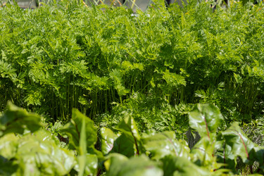 Similar image 22641675