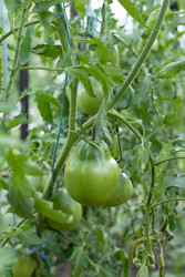 Similar image 22641676