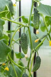 Similar image 22641677