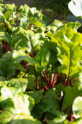 Similar image 22641678