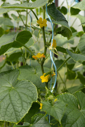 Similar image 22641680