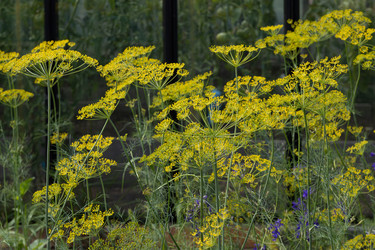 Similar image 22641681