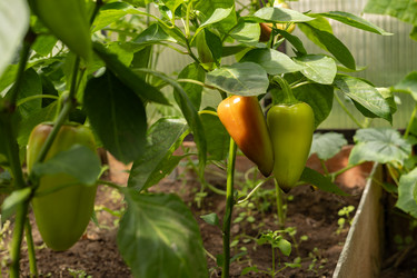 Similar image 22641683