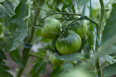 Similar image 22641684