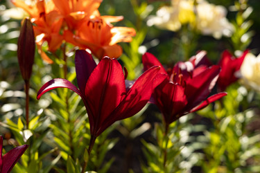 Similar image 22641685