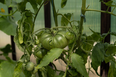 Similar image 22641687