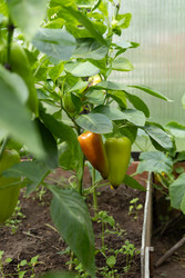 Similar image 22641688