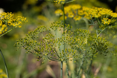 Similar image 22641689