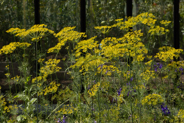 Similar image 22641690