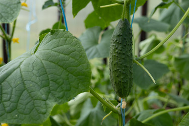 Similar image 22641692