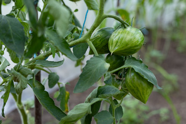 Similar image 22641693