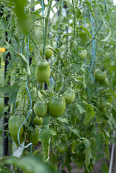 Similar image 22641694