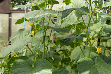 Similar image 22641695