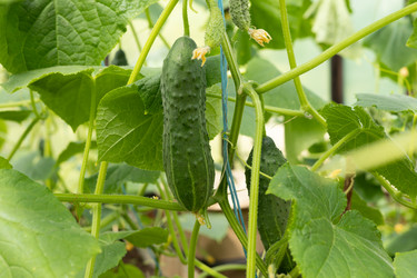 Similar image 22641696