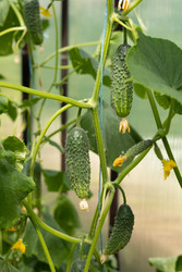 Similar image 22641697