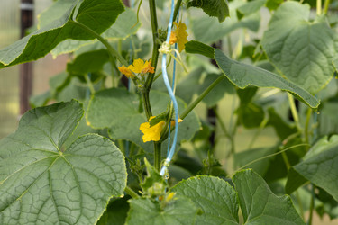 Similar image 22641698