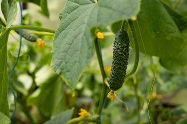 Similar image 22641699