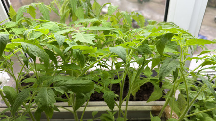 Similar image 22641700