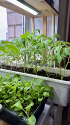 Similar image 22641701